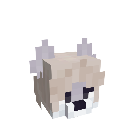 My Minecraft head